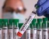 WHO confirms six hantavirus cases linked to cruise ship outbreak, three deaths reported