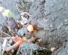 Indonesia rescuers finally reach, retrieve bodies of Singaporeans who perished after volcanic eruption (VIDEO)
