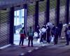 Breach of protocol: Dutch hospital quarantines 12 workers after hantavirus samples from cruise ship patient mishandled