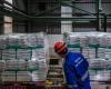 India imposes immediate sugar export ban amid concerns over tighter domestic stocks