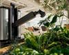 Hyundai Motor deploys gardening, delivery and security robots at Seoul HQ amid AI push
