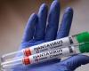 Canadian cruise passenger ‘presumptive positive’ for rare human-to-human hantavirus after MV Hondius outbreak