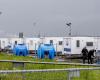 WHO keeps evaluation of hantavirus as ‘low risk’