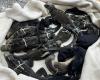 Three Thais arrested in Ecuador over alleged trafficking of rare Galapagos iguanas