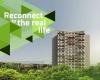 Joya Dorado Dubai Handover Delay: Owners Appeal for Support as Project Nears Completion