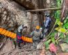 Laos cave rescue: Four men carried out on stretchers, two remain missing after flash floods