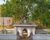 Sri Lanka suspends senior monk accused of child abuse, stripped of sacred Bodhi tree custodianship