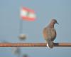 With Unifil’s mandate expiring, Lebanon scrambles for a peacekeeping alternative