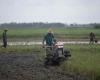 Myanmar rice farmers struggle as fertiliser prices soar and fuel supplies tighten