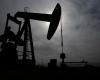 Russia says energy crisis shows Europe cannot survive without its oil and gas