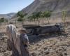 Iran fires missiles at US bases in Jordan and Bahrain as regional tensions surge