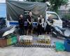 Vietnam police rescue 400 cats from cat-meat theft ring as dozens reunited with owners