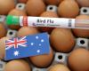 Australia confirms second H5N1 bird flu case in three days, vows to curb spread