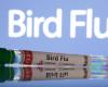 H5N1 bird flu reaches second Australian state; PNG bans poultry imports