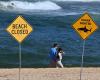 Sydney surf culture shaken as drones spot sharks 73 times in two days, beaches close, paranoia spreads