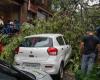 Building collapse kills six in Mumbai as torrential rain batters city