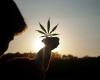 Kenyan judge tells Rastafarians their religious ‘high’ is still a crime