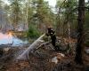 Volunteer firefighter held over suspected blaze in France’s Fontainebleau forest