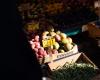 Billions priced out of nutrition as UN says cost of healthy diet soars 25 per cent