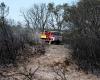 France, Spain evacuate 160,000 as wildfires tear through Bordeaux and Madrid