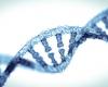 Chinese university investigates six‑year‑old’s death allegedly tied to experimental gene‑editing therapy