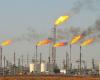 Shell knew Nigerian thieves tapped pipes but kept oil flowing, Amnesty says