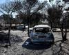‘Almost no flames’: Madrid blazes stop spreading, but heatwave raises fears of fresh outbreaks