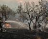 Three firefighters killed as gale-force winds fan wildfires across Greece