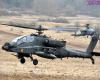 Two US soldiers killed in Texas Army helicopter crash