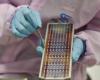 US plans Panama pilot to speed AI chip shipments