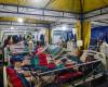 Indonesia declares emergency till Aug 28 after deadly Flores quake