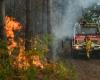 Wildfires sweep Europe as Greece, Spain report deaths and Belgium tackles record blaze