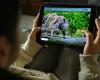 Indian tycoon's giant Vantara zoo announces 'reset', rethinks imports