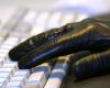Norwegian public services targeted by cyberattack