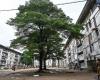 Ivory Coast housing crunch leaves Abidjan home-hunters struggling to keep up