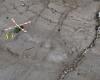 Nepal calls for global climate action after deadly Himalayan disaster