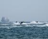 Merchant ship strike in Hormuz Strait kills one, injures three
