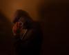 Interpol warns romance and investment scams are draining billions from Asian economies