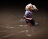 Bangkok floods kill four as Thailand’s death toll climbs to 23