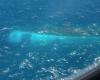 Indonesian authorities detain ferry captain, dozens still missing in Java Sea sinking