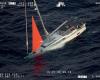 ‘Loud thud’: Sperm whale rams yacht in South Pacific, forcing four sailors into overnight ordeal