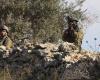 Palestinians injured as Israeli forces help settlers seize West Bank olive groves