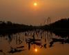 El Nino Watch: How the weather phenomenon is impacting the world this week