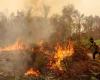 Four killed in Indonesia battling fires causing toxic haze