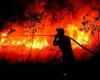 Prabowo berates countries that ‘insult’ Indonesia over wildfires, vows to reveal companies involved