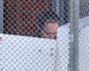 Man accused of targeting Australian MP Helen Haines appears in court