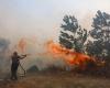 Indonesia names 11 companies as suspects in forest fire probes