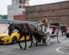 End of the ride? New York moves to ban Central Park horse carriages