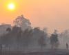 Indonesia forest fire liability: Can multinational companies be held responsible for the haze?
