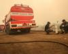 Indonesia still fighting over 22,500-ha fires with central Kalimantan worst hit
